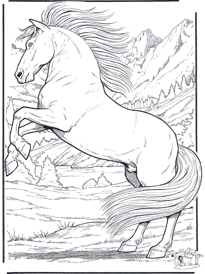 Horse