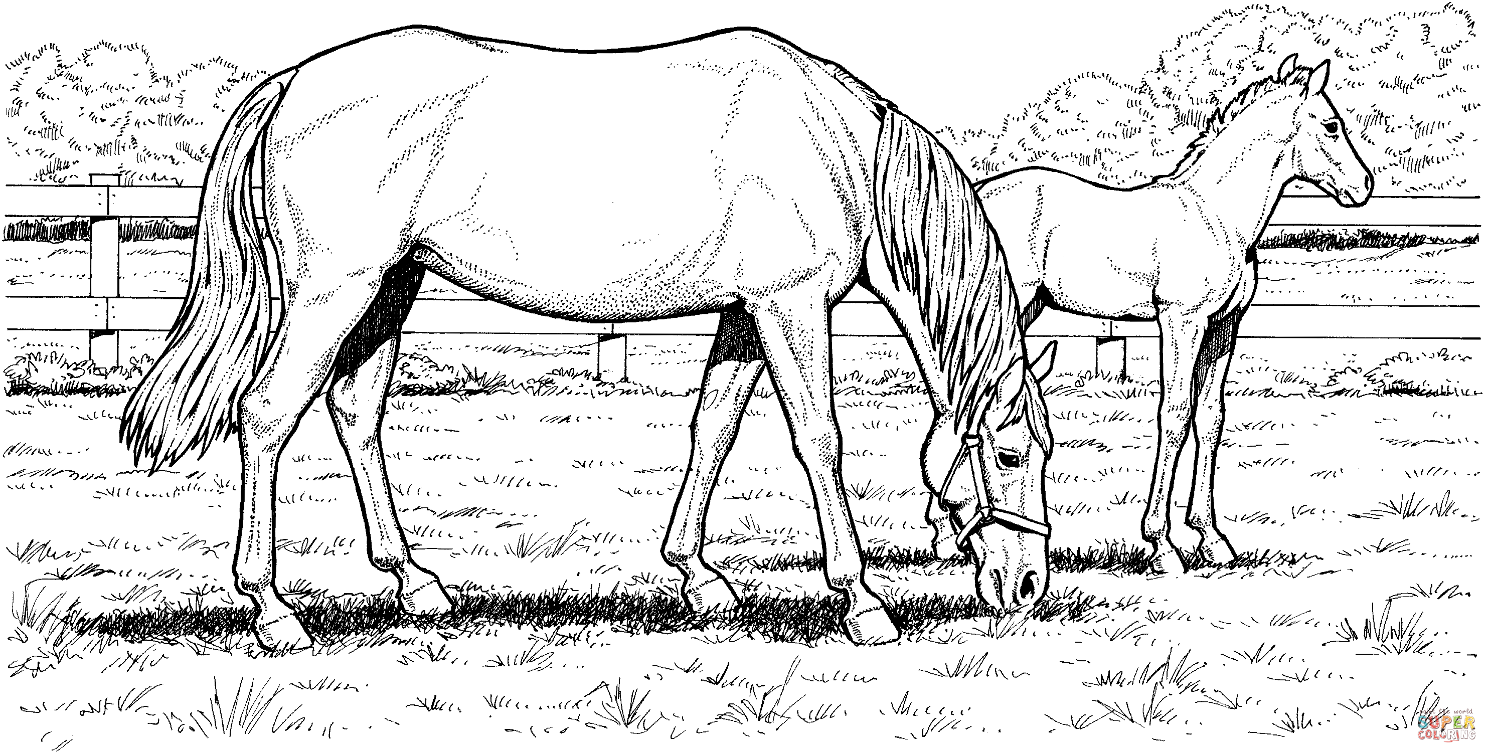 Grazzing mare horse and filly coloring page free printable coloring pages