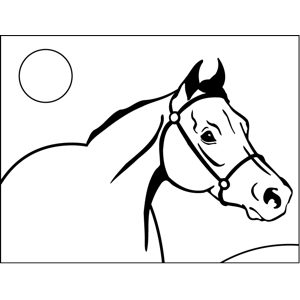Realistic horse coloring page