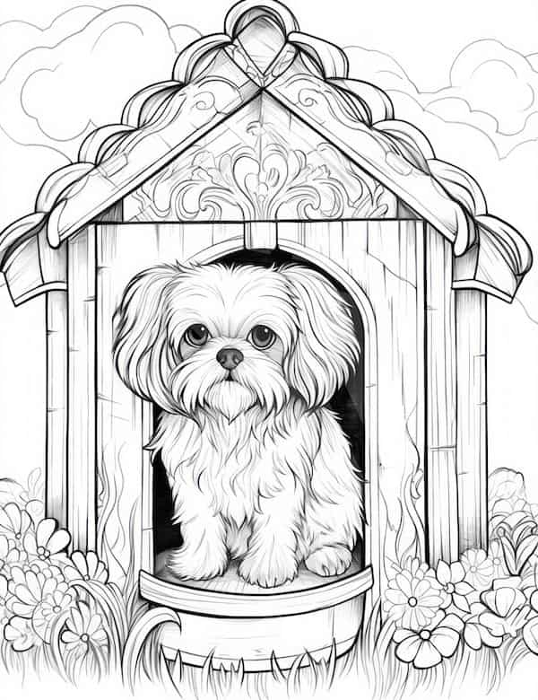 House coloring pages for adults and kids