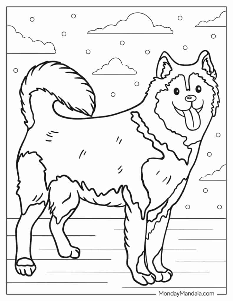 Husky coloring pages free pdf printables
