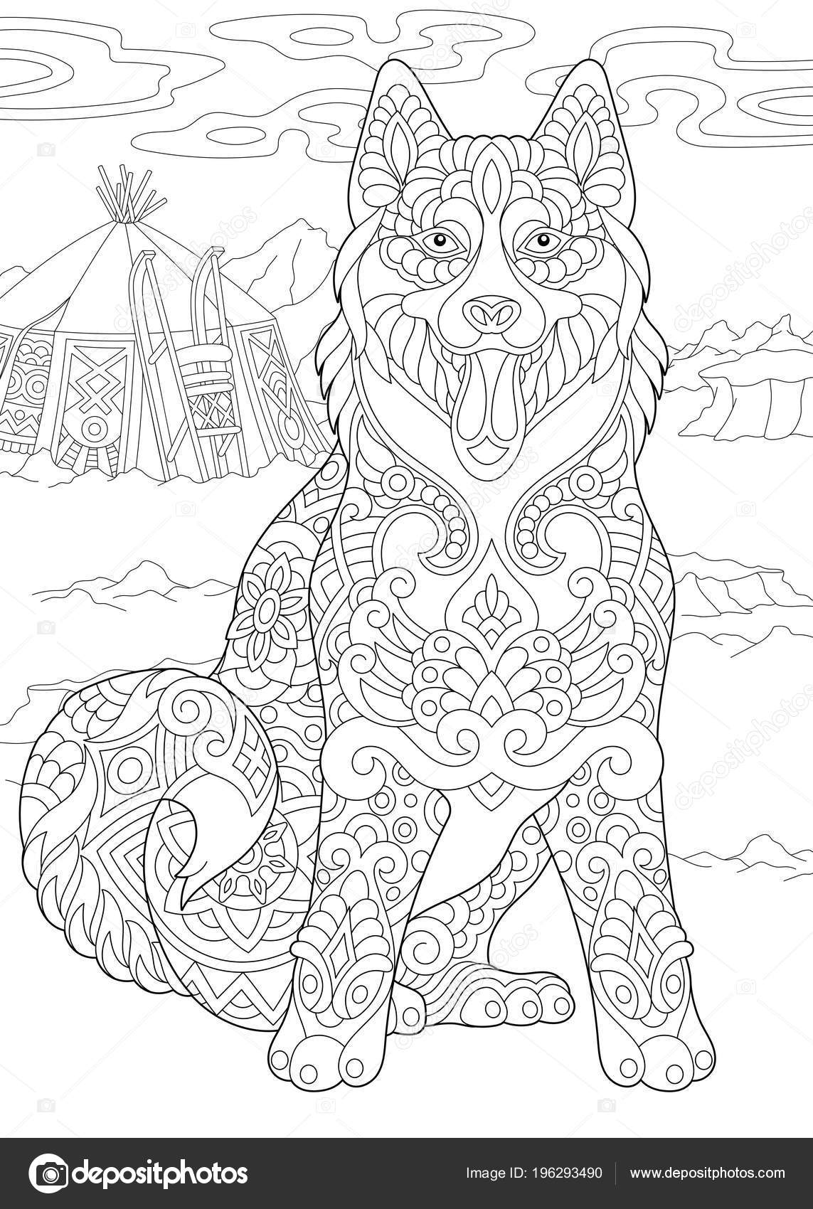 Alaskan malamute siberian husky eskimo dog coloring page adult coloring stock vector by sybirko