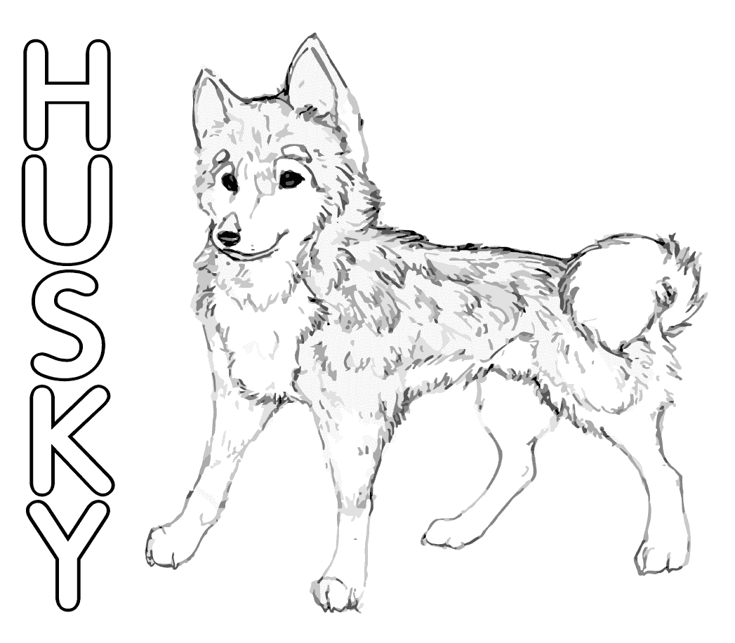 Husky coloring pages printable for free download