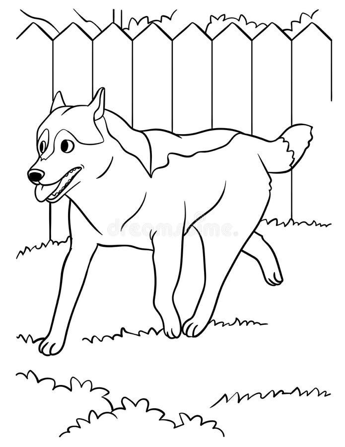 Siberian husky coloring page for kids stock vector