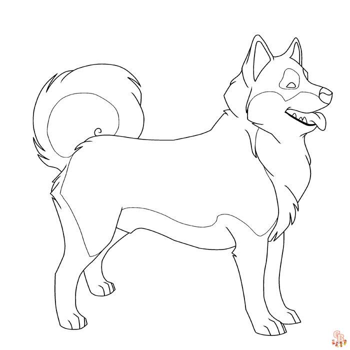 Get your free standing siberian husky coloring pages