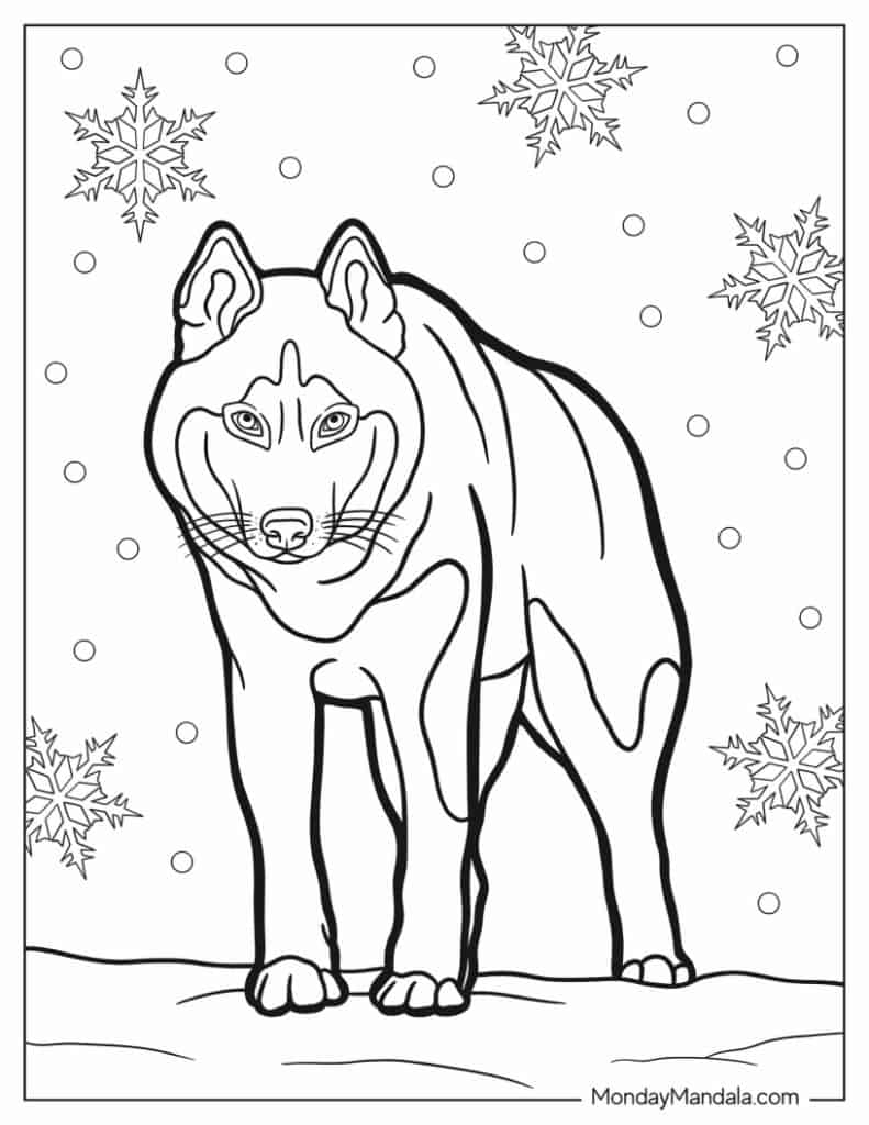 Husky coloring pages free pdf printables