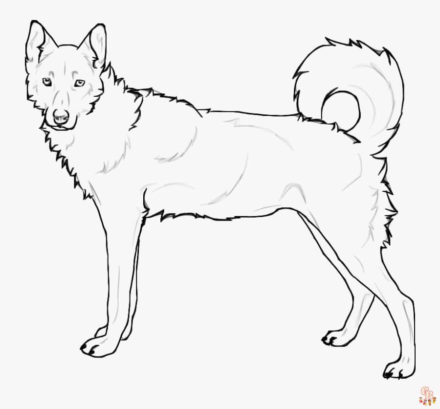 Get your free standing siberian husky coloring pages