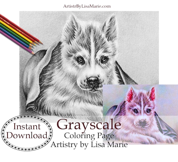 Siberian husky pdf coloring pages for adults printable coloring for dog mom grayscale pdf coloring pages for pet lover