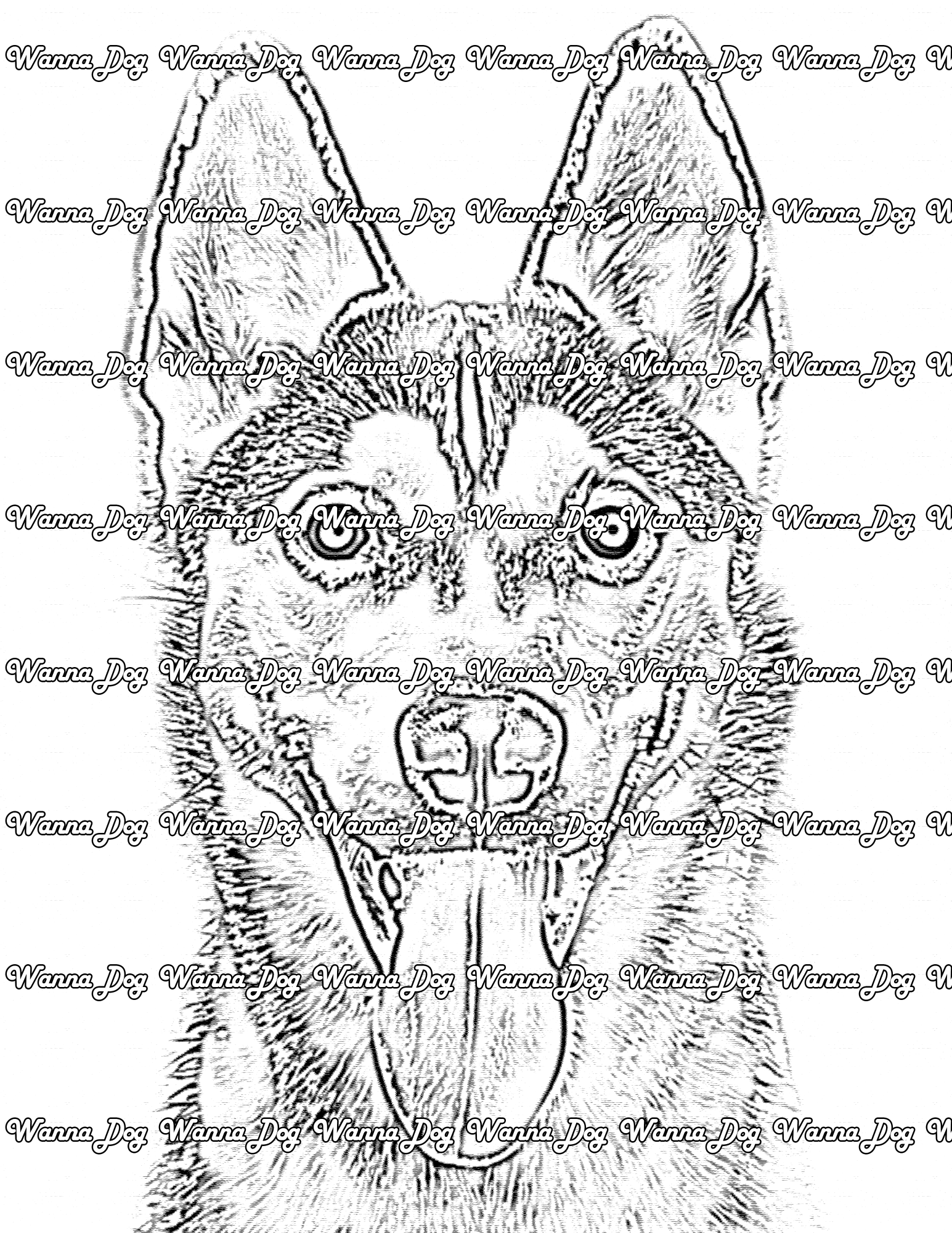 Siberian husky coloring pages â wanna dog