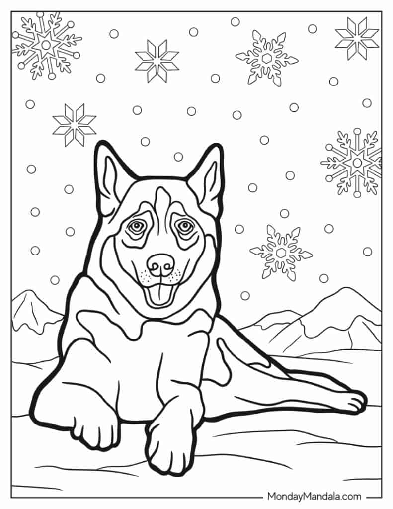 Husky coloring pages free pdf printables