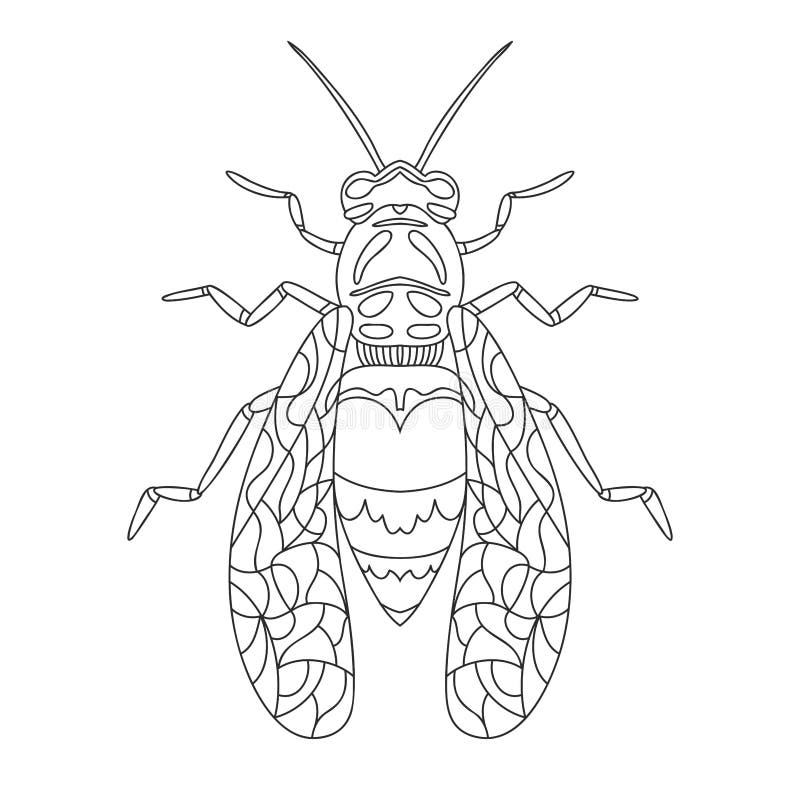 Wasp bee outline realistic vector graphic illustration summer vector illustration coloring book hand realistic drawing stock illustration