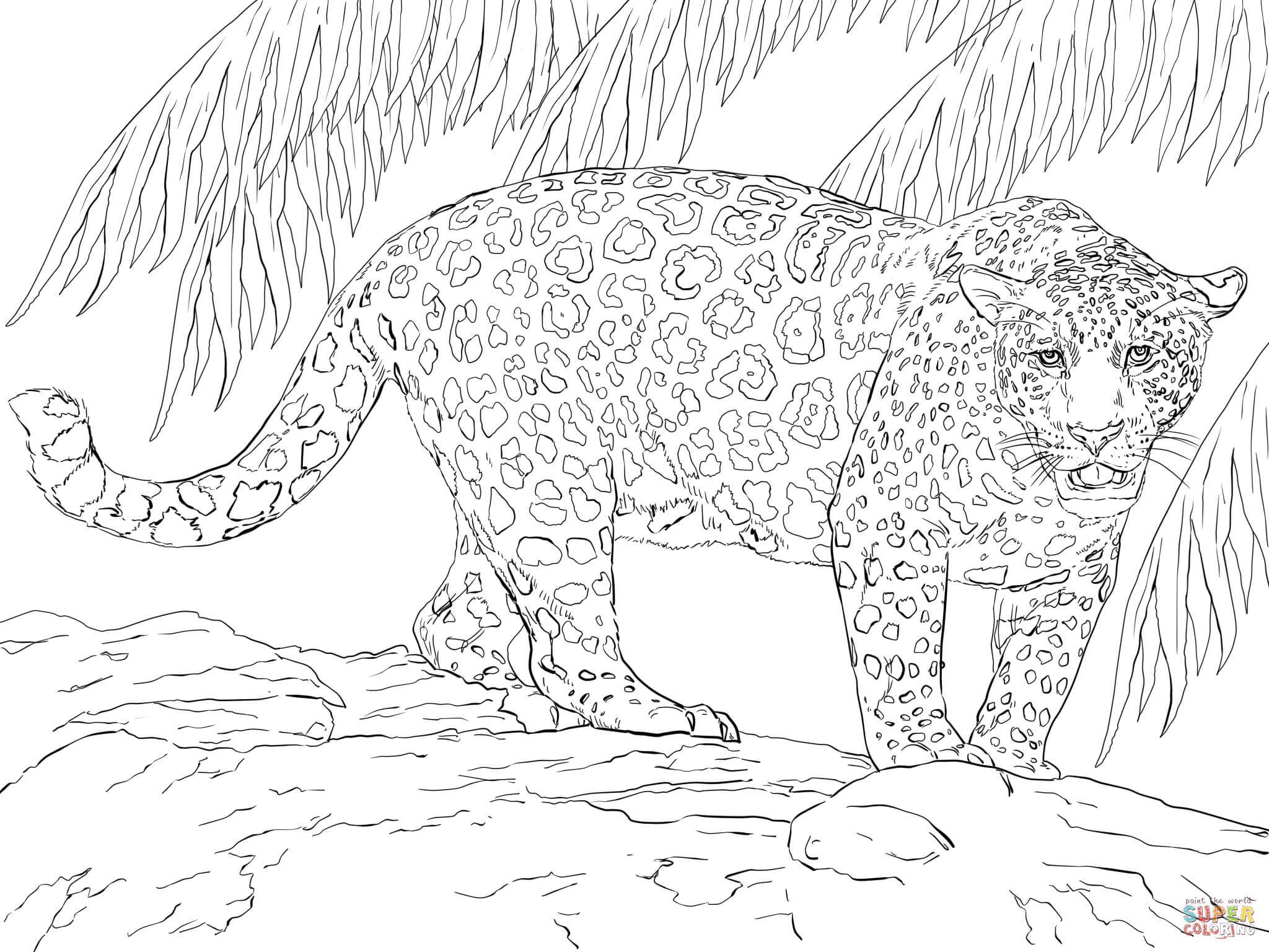 Great jaguar coloring page free printable coloring pages