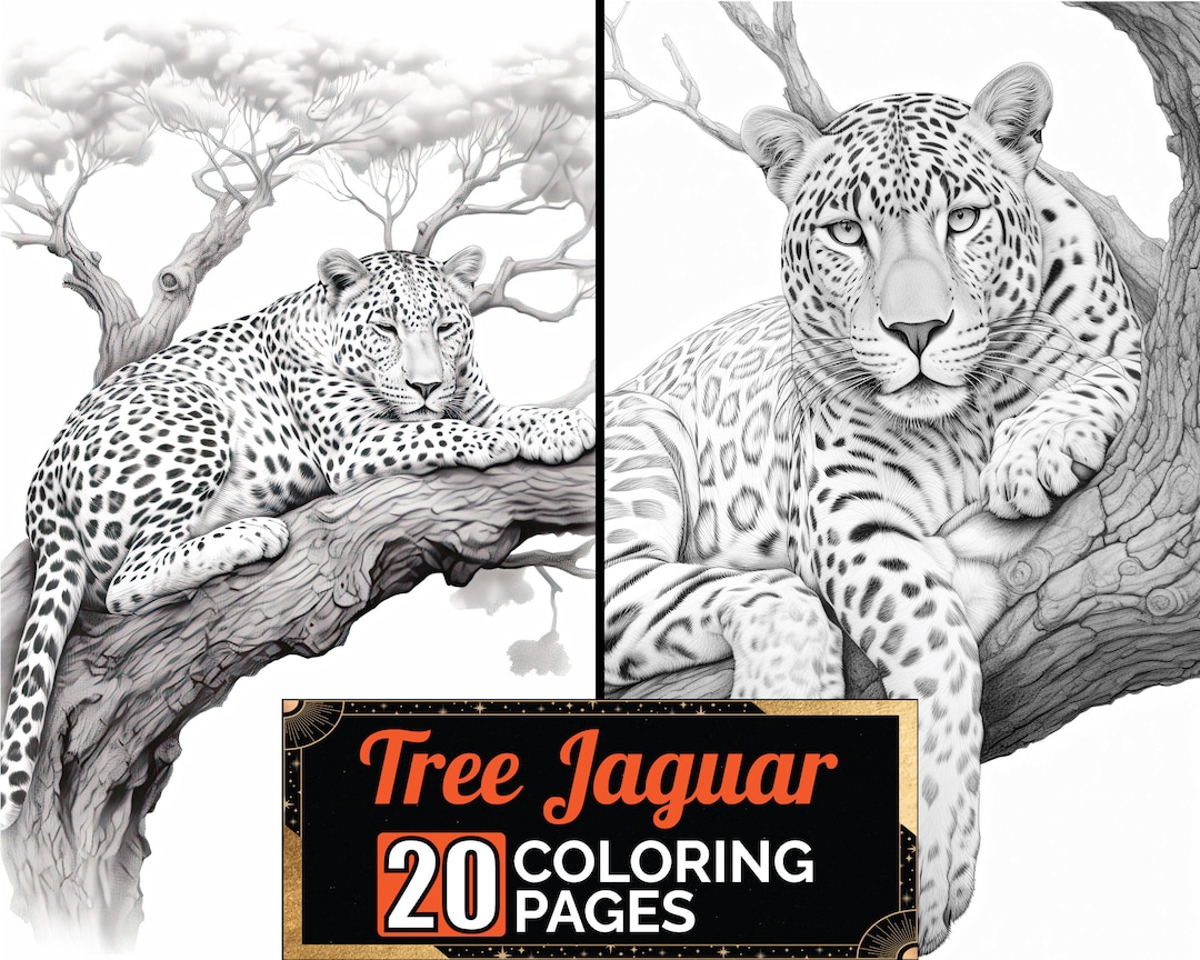 Tree resting jaguar coloring book premium adult kids giant cat animals coloring sheets a size page printable digital pdf download