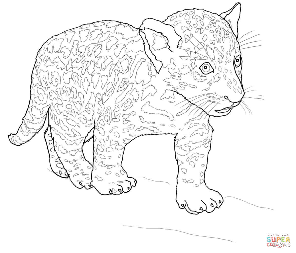 Baby jaguar coloring page free printable coloring pages