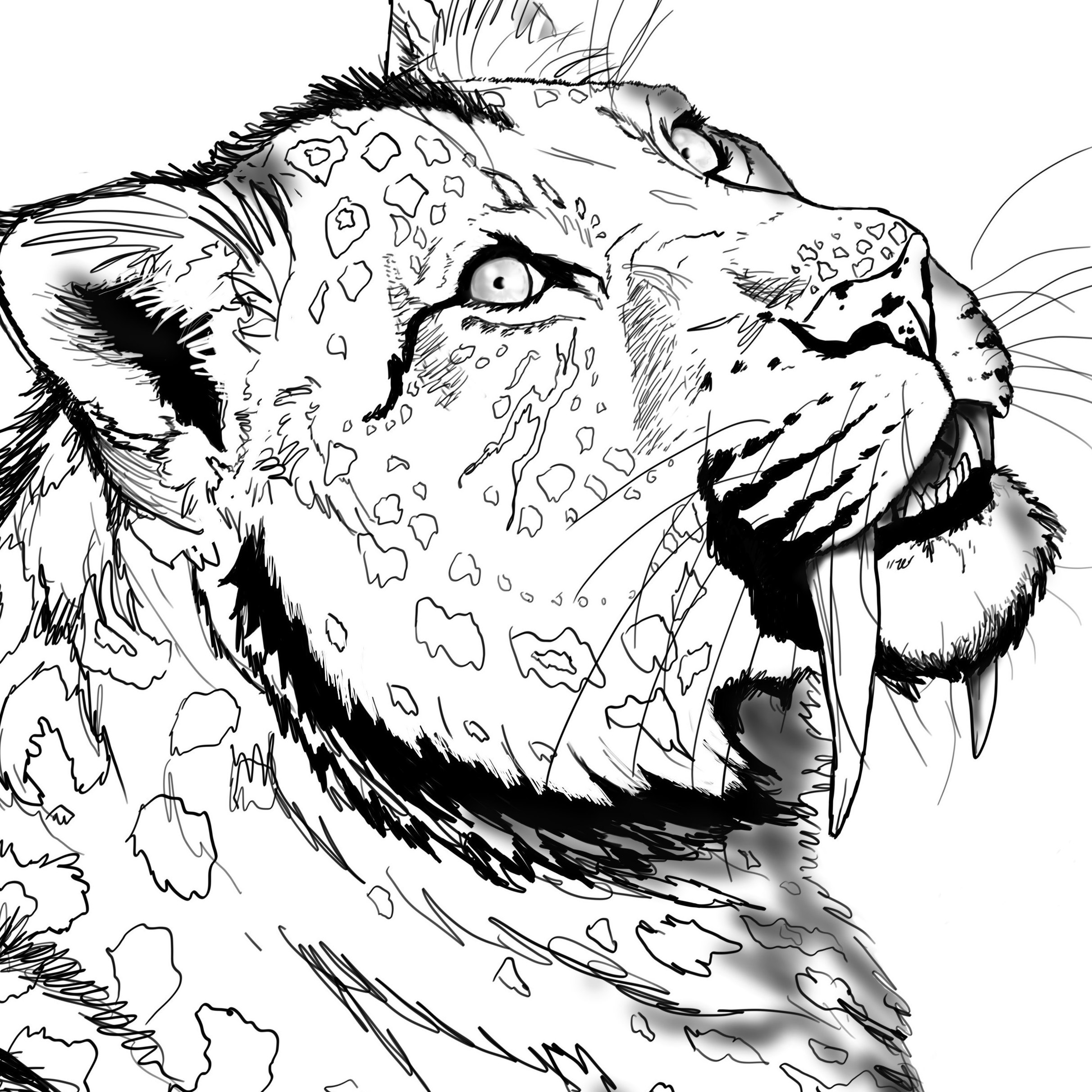 Jaguar coloring page animal coloring page