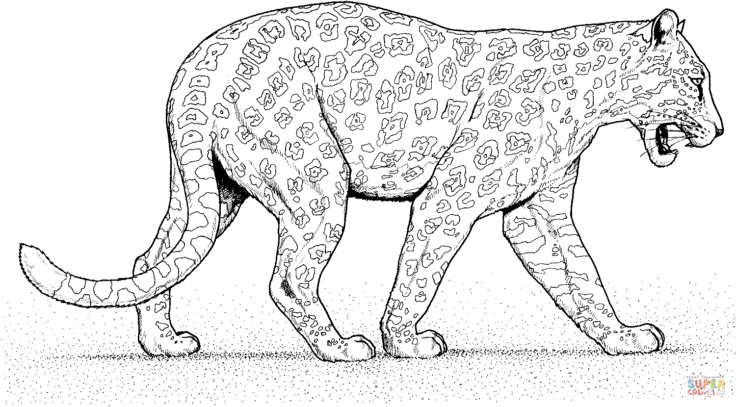 Jaguar walks coloring page free printable coloring pages