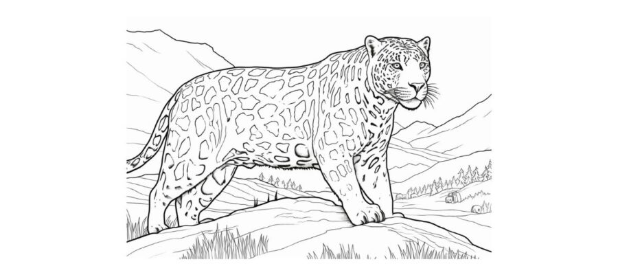 Jaguar coloring pages