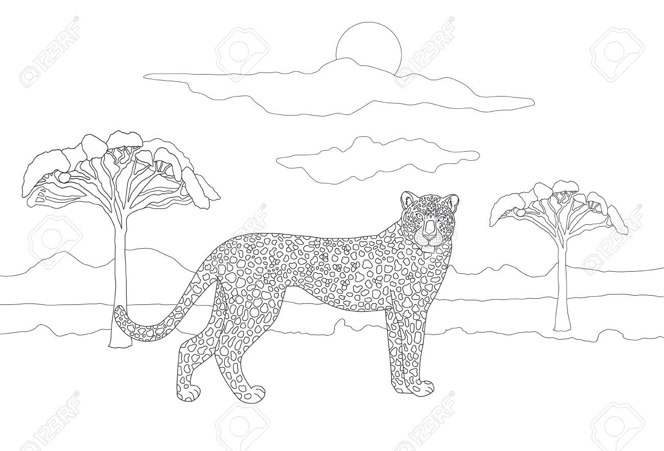 Coloring book for adults and children with a realistic spotted leopard on the background of the savannah landscape with trees clouds and wild lively feline family coloring book with animals africa royalty