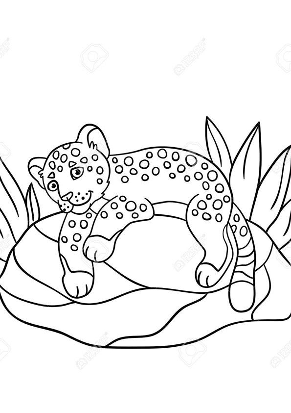 Coloring pages baby jaguar sleeping coloring pages