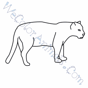 Jaguar coloring pages