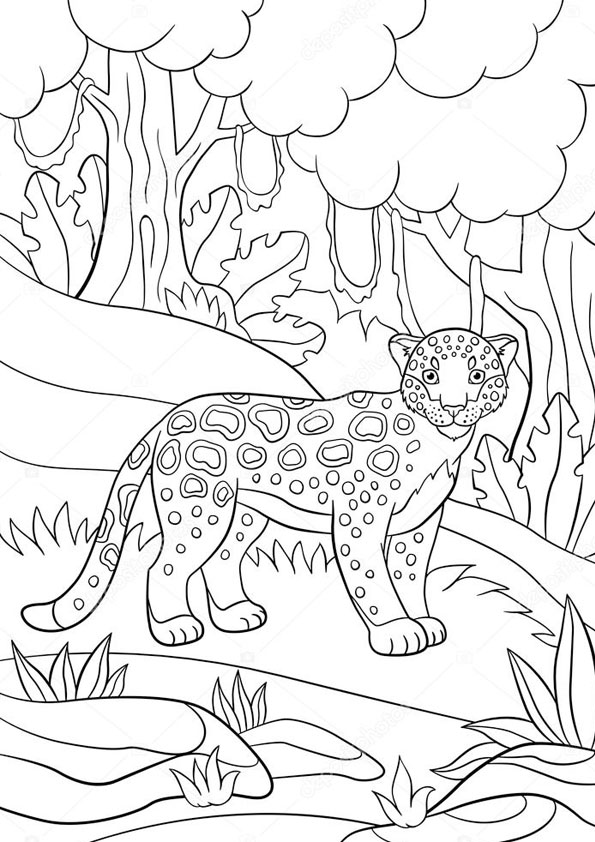 Coloring pages angry jaguar coloring pages