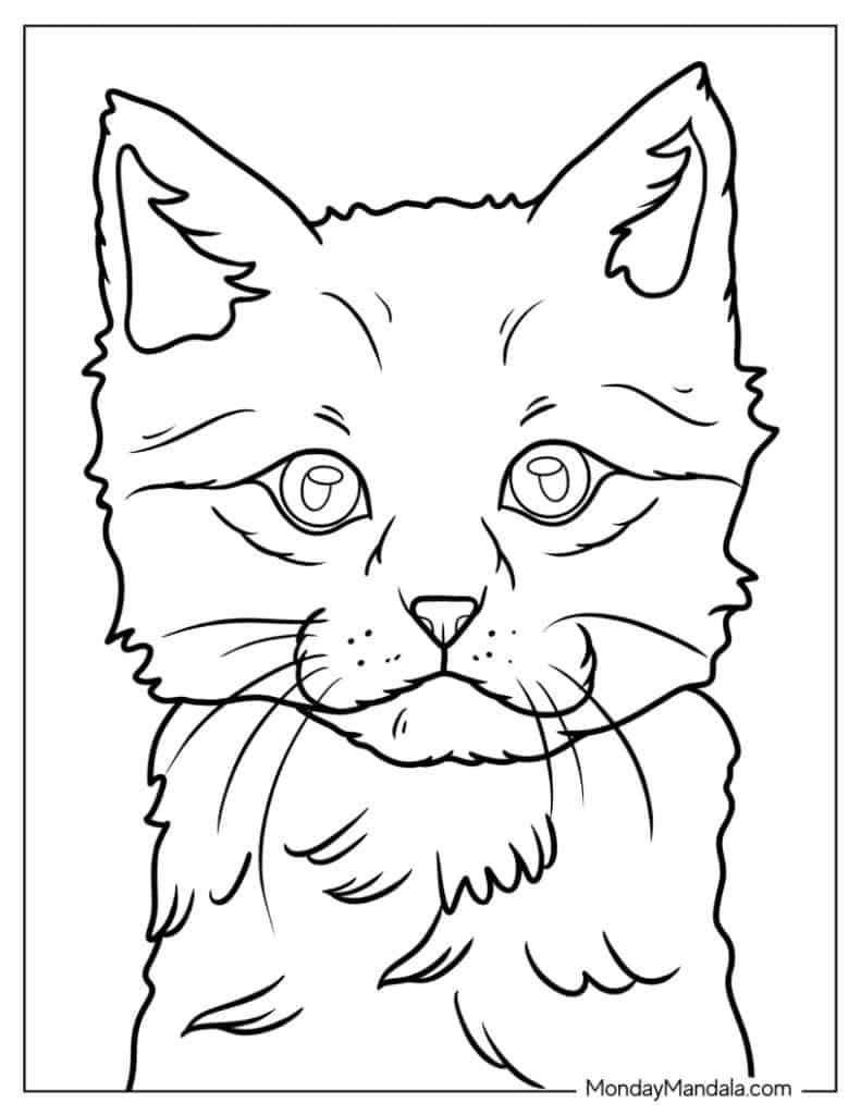 Kitten coloring pages free pdf printables