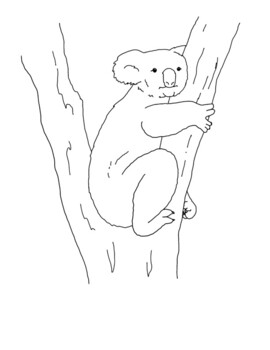 Koala coloring page by mama draw it tpt