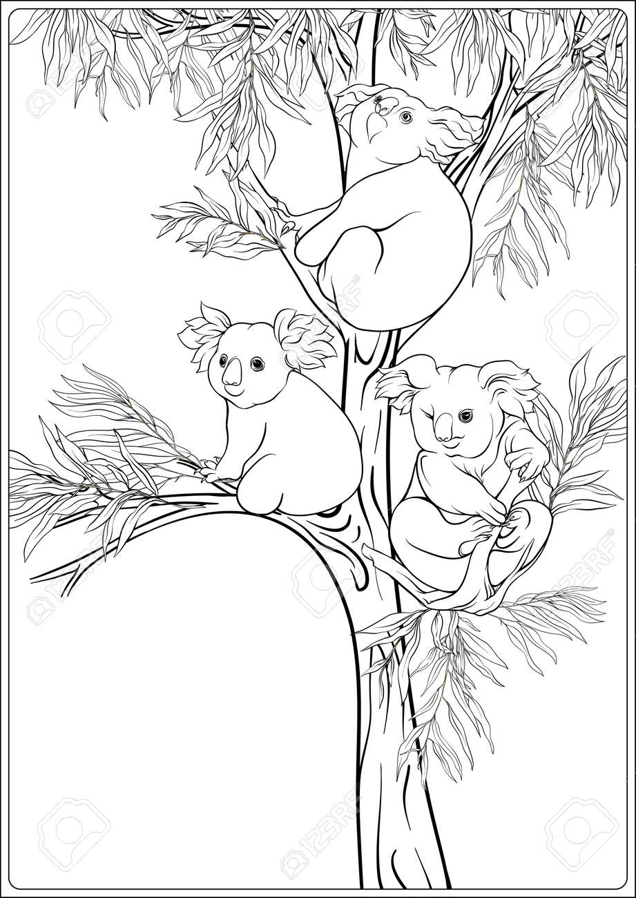 Koala and eucalyptus coloring page for the adult coloring book outline hand drawing vector illustration royalty free svg cliparts vectors and stock illustration image