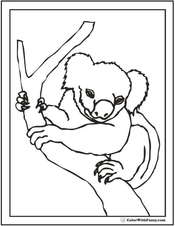 Koala coloring pages for kids hop a ride with a koala