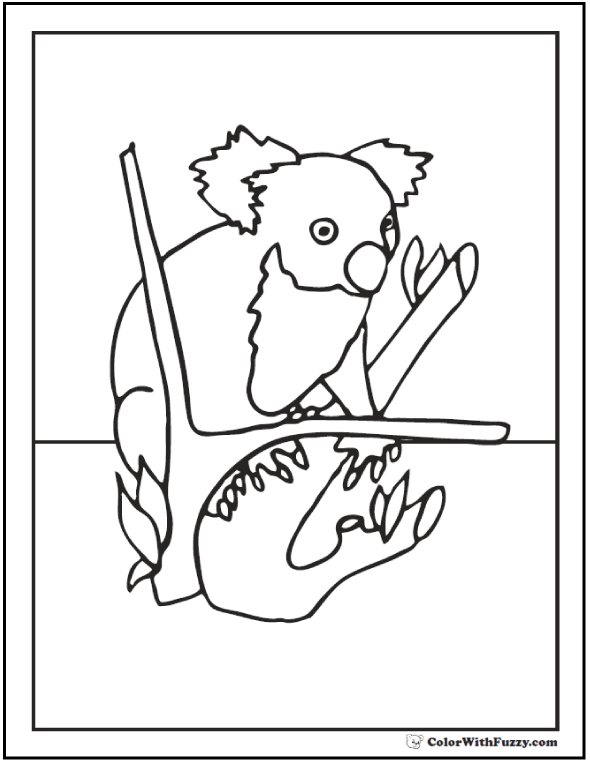 Koala coloring pages for kids hop a ride with a koala