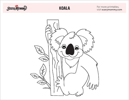 Koala coloring pages thatll make you want to travel down under