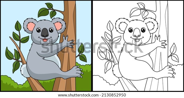 Koala coloring book photos images and pictures