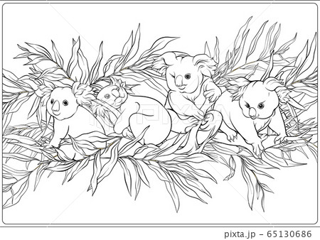 Koala and eucalyptus coloring page for the