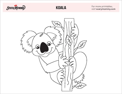 Koala coloring pages thatll make you want to travel down under
