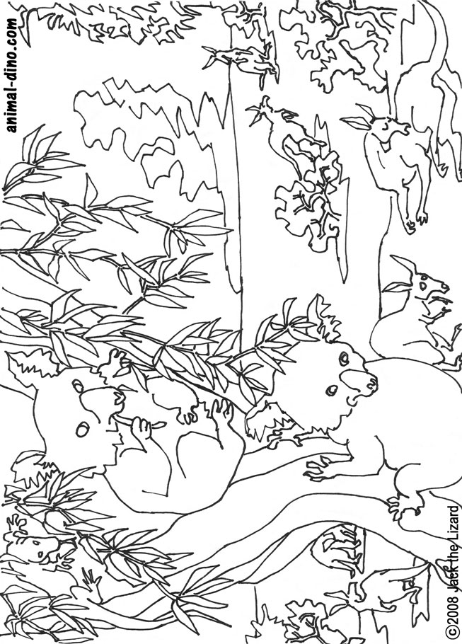 Animal coloring page koala bear print size