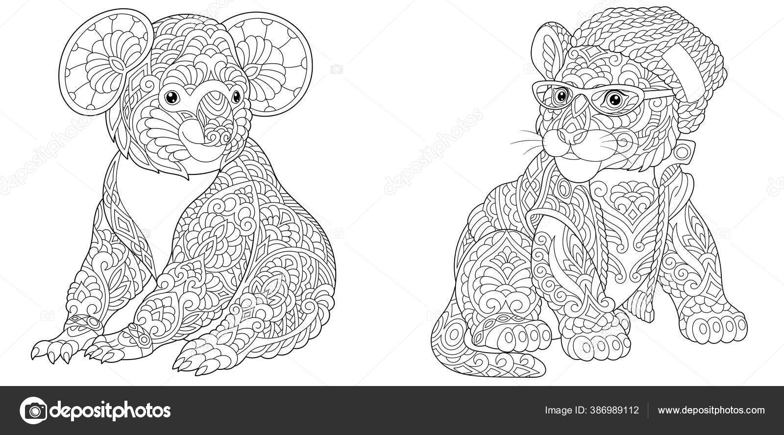 Coloring pages koala bear tiger hipster clothes line art design stock vector by sybirko