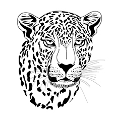 Top free printable leopard coloring pages online