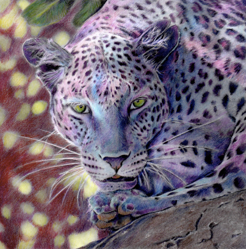 Beautiful creatures grayscale adult coloring book leopard coloring examples