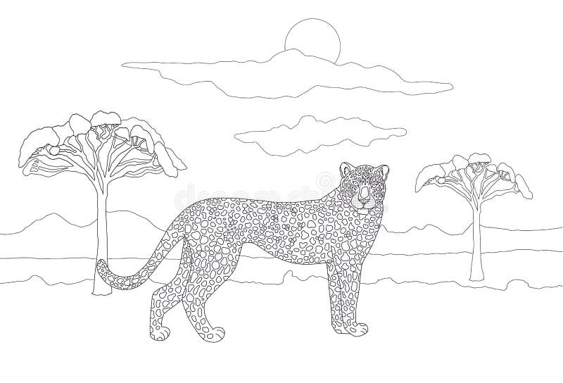 Coloring book for adults and children with a realistic spotted leopard on the background of the savannah landscape with trees stock illustration
