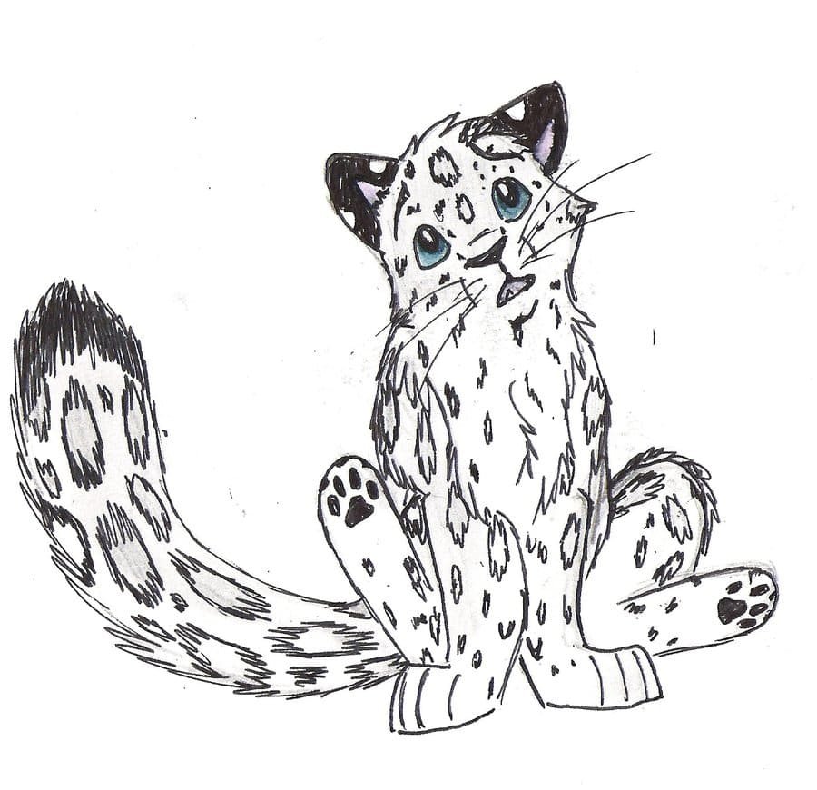 Leopard coloring pages printable for free download