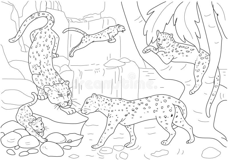 Leopard coloring stock illustrations â leopard coloring stock illustrations vectors clipart
