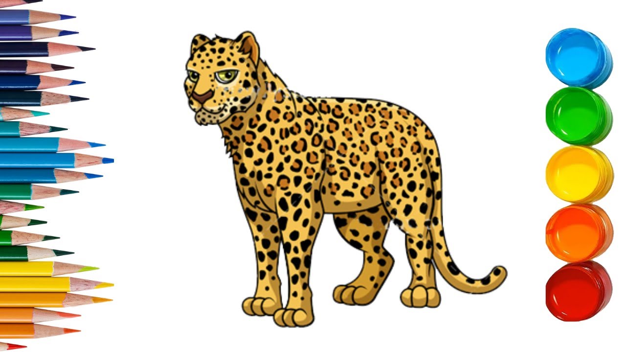 Leopard coloring pages how to color wild animals leopard drawing