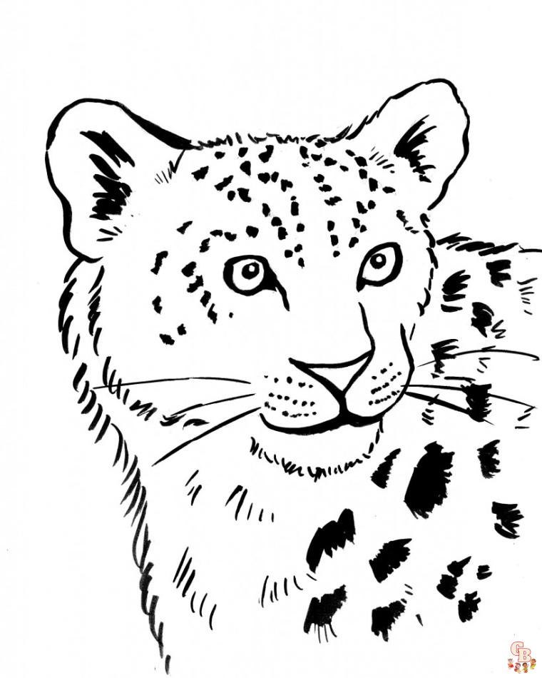 Leopard coloring pages