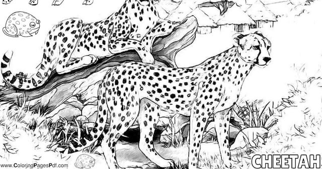 Realistic cheetah coloring pages rcoloringpagespdf
