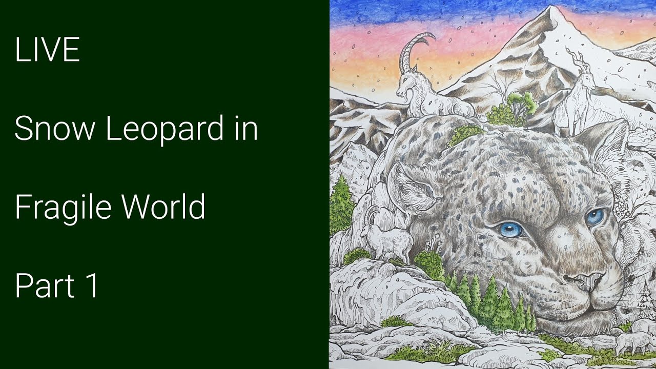 Live snow leopard in fragile world part