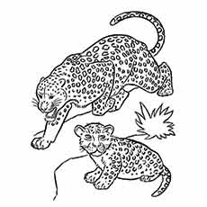 Top free printable leopard coloring pages online