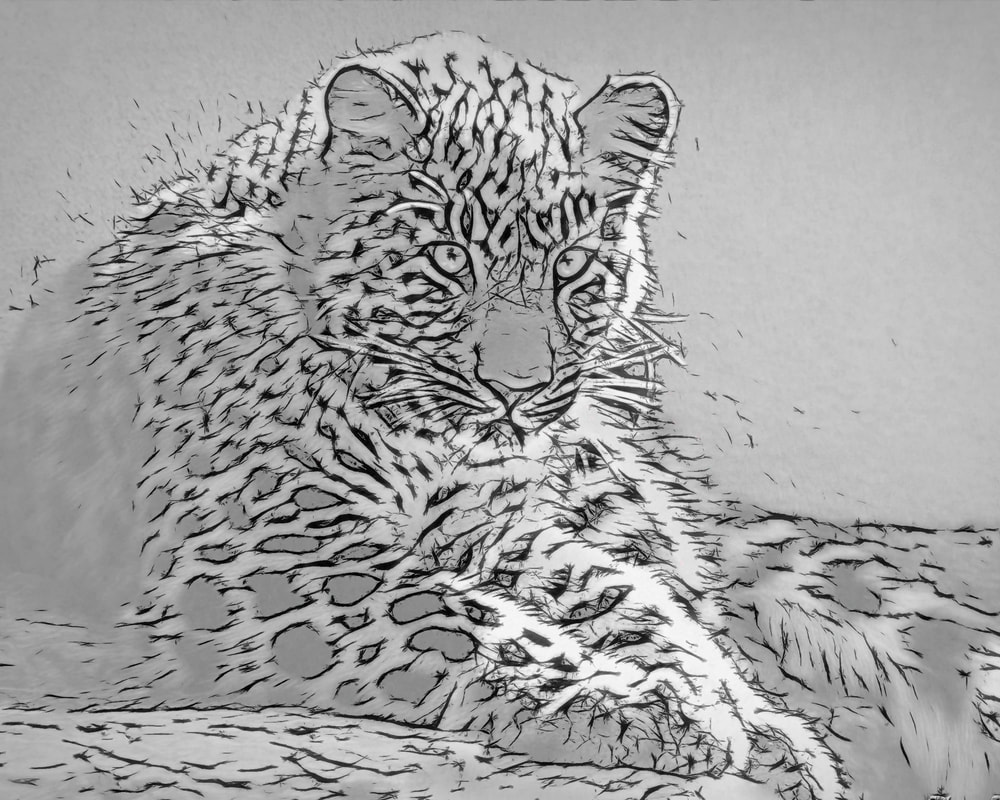 Coloring pages