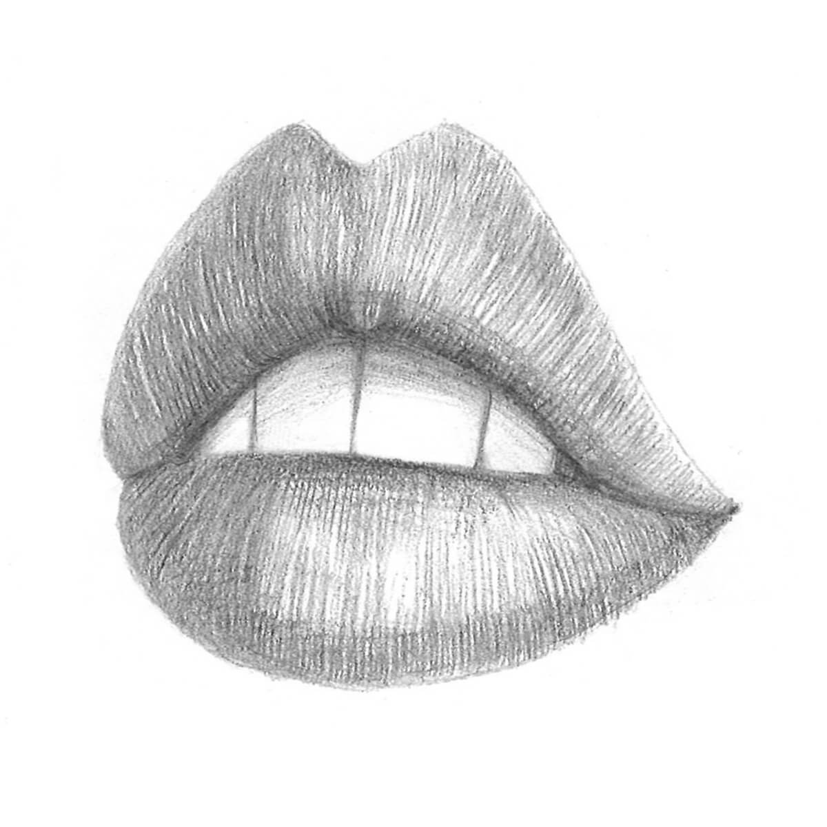 How to draw realistic lips step