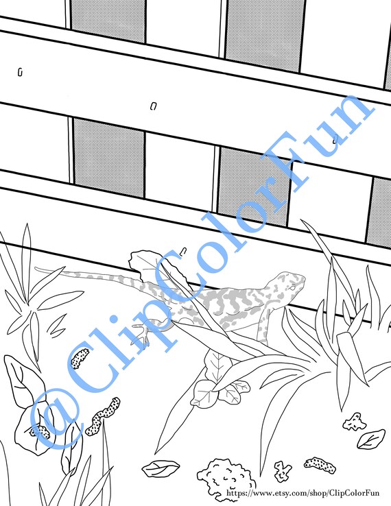 Lizard coloring page realistic simple coloring page for