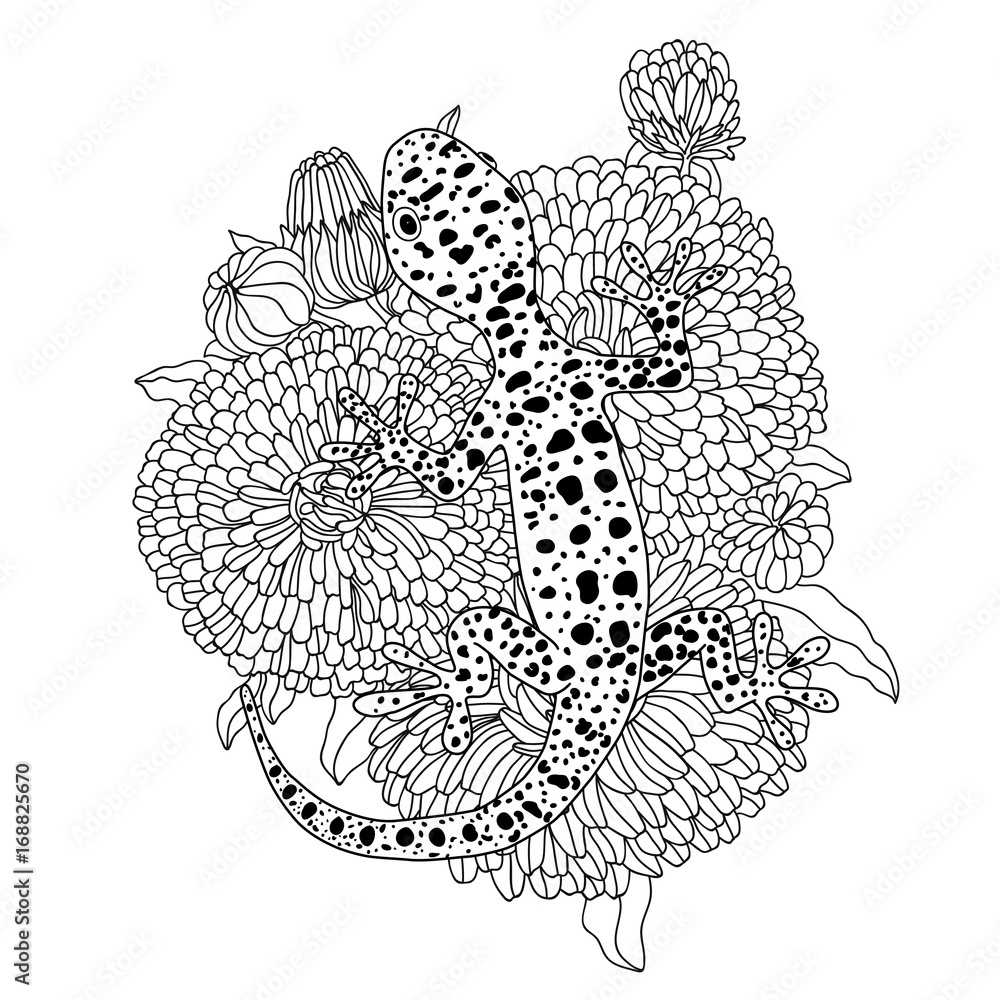 Vector lizard realistic and detailed illustration for a coloring book for adults vector